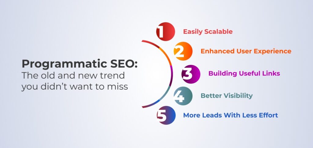 The old and new trend you dont want to miss with Programmatic Seo by Hustle Marketers