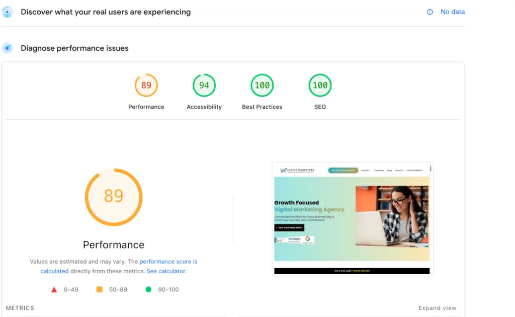 Google PageSpeed Insights performance report with Core Web Vitals