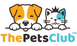 Thepetsclub Original 1.png
