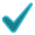 Check Mark - Hustle Marketers Digital Marketing Agency