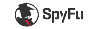 Spyfull.webp - Hustle Marketers Digital Marketing Agency
