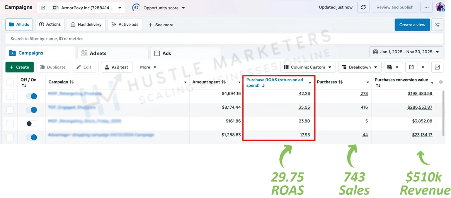 Meta Ads portfolio result with 29.75 ROAS, 743 sales and $510K revenue