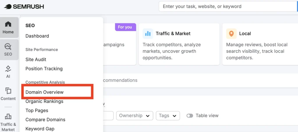 Domain Overview to begin the keyword ranking 