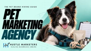 Pet marketing agency cover showing a close border collie portrait in a teal harness beside unbranded pet products and a blank hiring checklist.